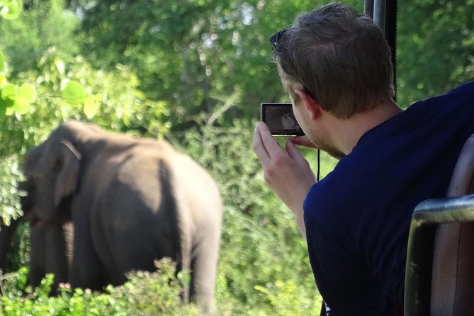 Exclusive : Overnight Leopard Safari with Luxury Glamping - The dawn game drive: second chance, better odds