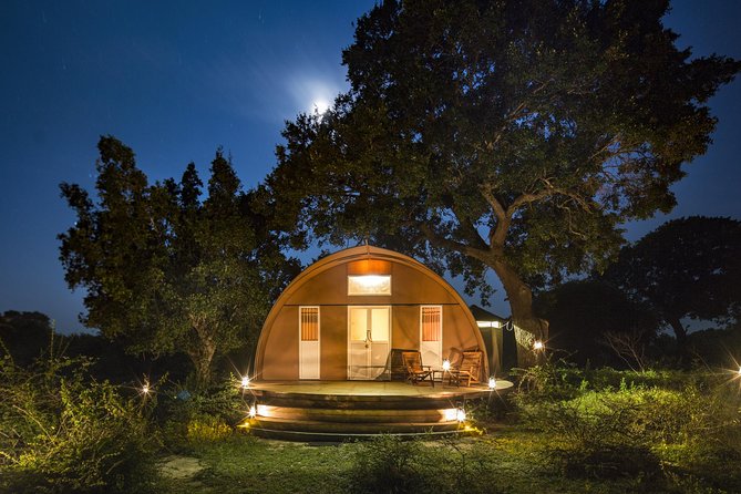 Exclusive : Overnight Leopard Safari with Luxury Glamping - Arriving at Leopard Nest: glamping that’s actually built for staying still