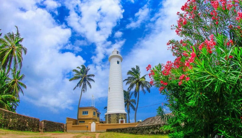 From Colombo: Galle Fort and Hikkaduwa Beach Day Tours - The mangrove boat safari on the river: the calm center of the tour