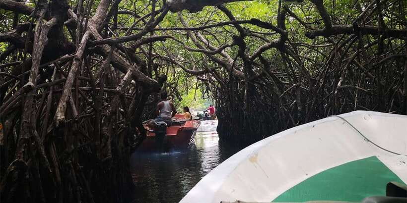 From Colombo: Handungoda, Galle, Ahangama, & Kosgoda Tour - Key Points at a Glance