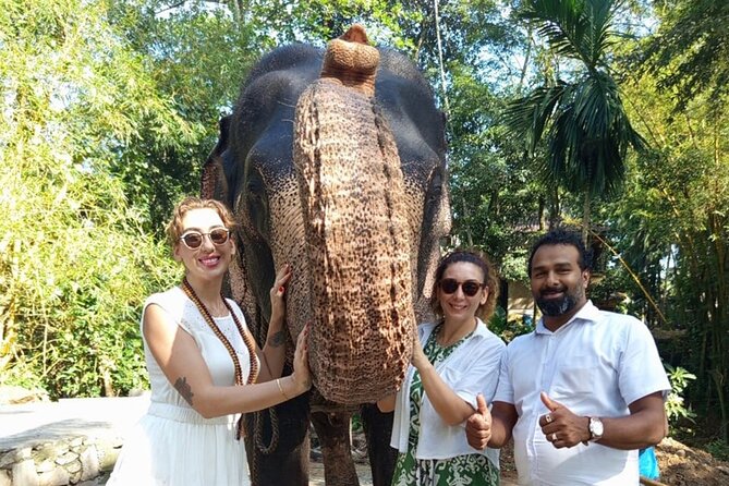 From Colombo: Kandy and Pinnawala Full-Day Trip - Key highlights at a glance