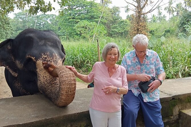 From Colombo: Kandy and Pinnawala Full-Day Trip - A day built for first-timers to Kandy