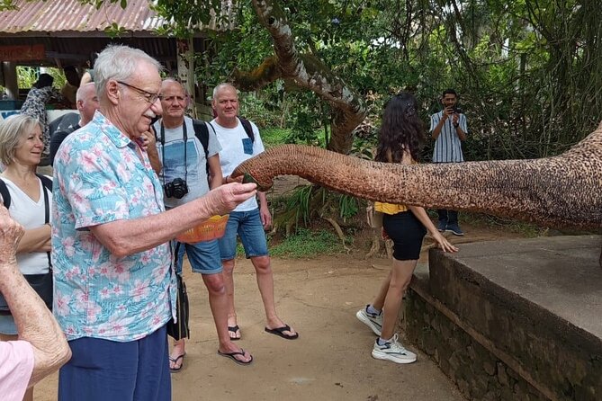 From Colombo: Kandy and Pinnawala Full-Day Trip - Price and logistics: where the value really comes from