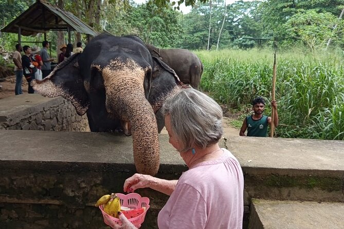 From Colombo: Kandy and Pinnawala Full-Day Trip - What to expect from a small-group day (and who will like it most)