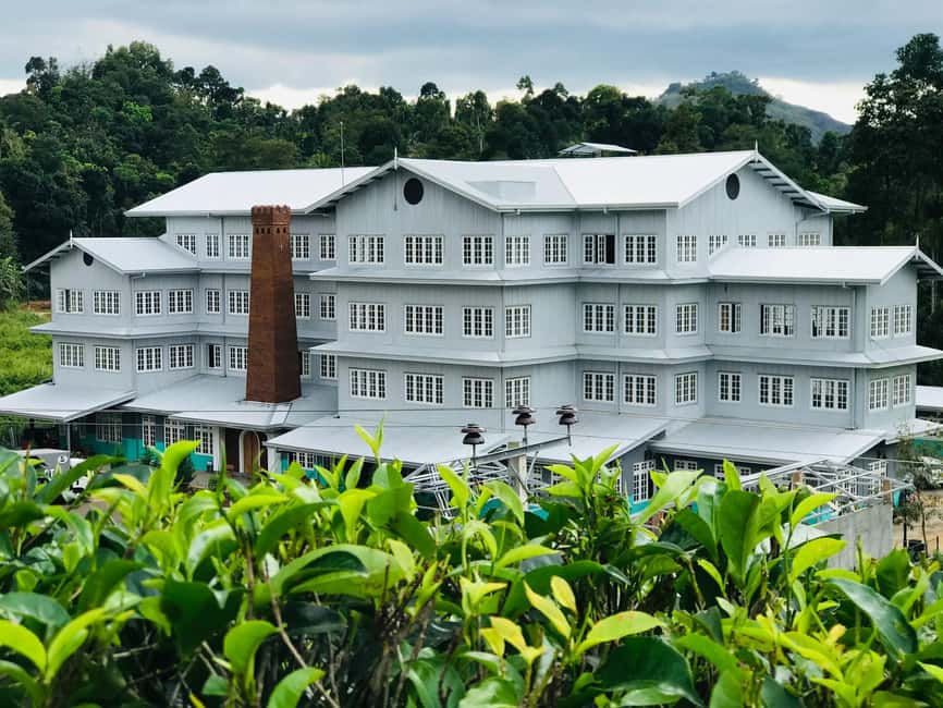 From Colombo: Kandy Temple of Tooth & Elephant Orphanage - Tea Factory and Herbal Garden Walk: Ceylon Tastes and Plant Wisdom