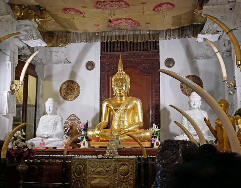 From Colombo: Kandy Temple of Tooth & Elephant Orphanage - Who This Tour Fits Best (and Who Should Adjust Expectations)