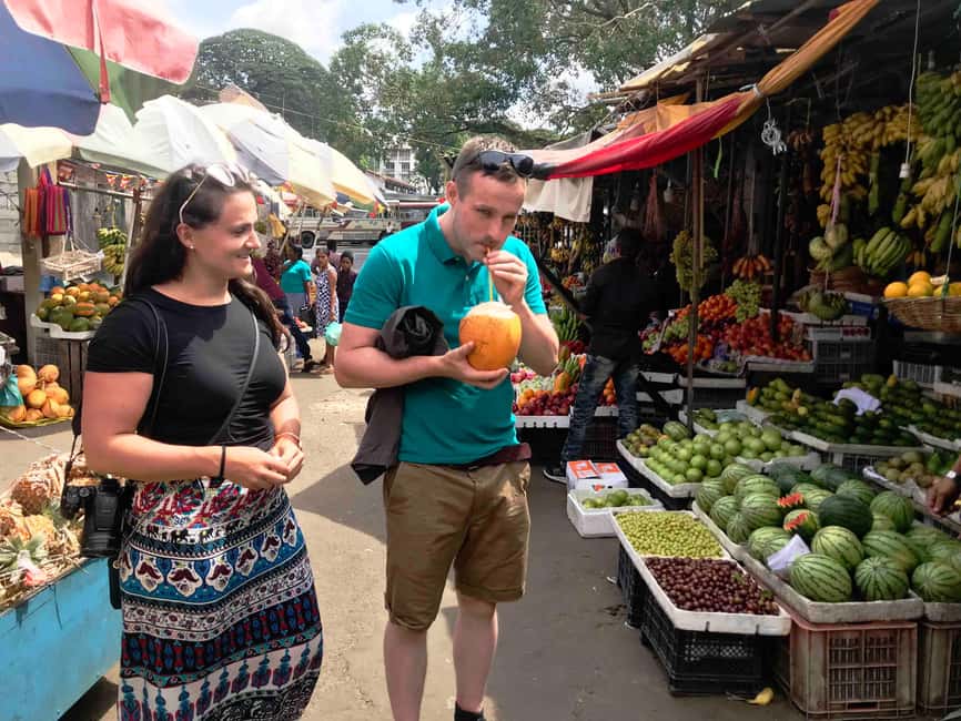 From Colombo: Kandy Temple of Tooth & Elephant Orphanage - Should You Book This Kandy and Pinnawala Day Trip?