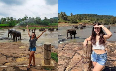 From Colombo: Pinnawala & Tea factory with Kandy Hotel Drop - Colombo pickup, then straight to Pinnawala elephants