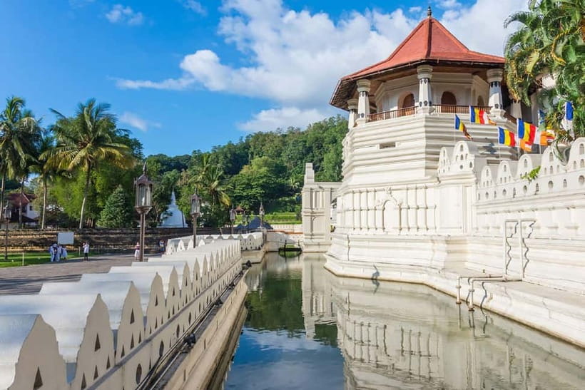From Colombo: Pinnawala & Tea factory with Kandy Hotel Drop - Getting back to Kandy: comfort, English service, and driver quality