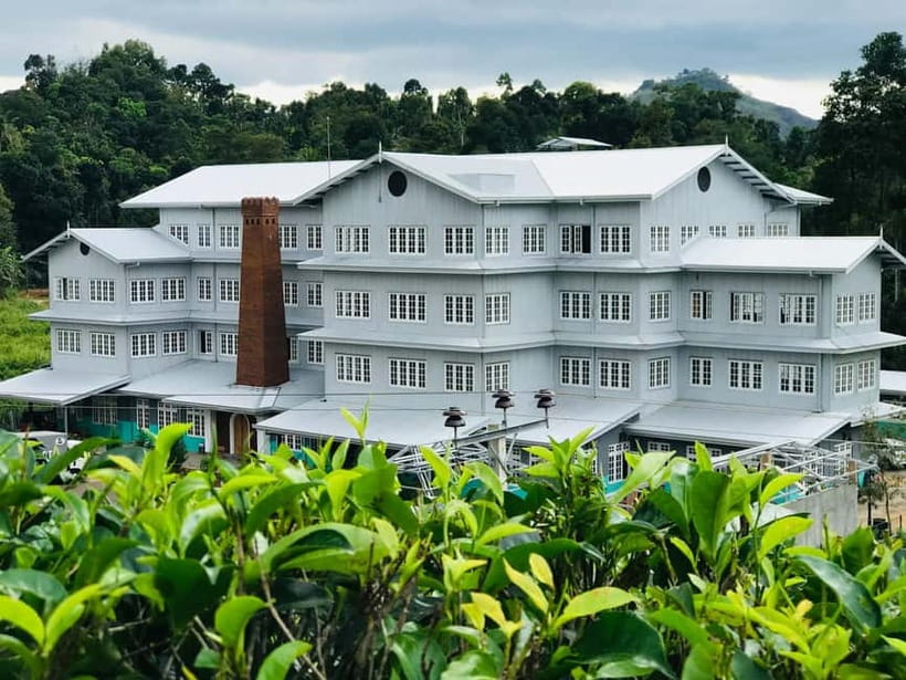 From Colombo: Pinnawala & Tea factory with Kandy Hotel Drop - Who this Colombo-to-Kandy day trip suits best