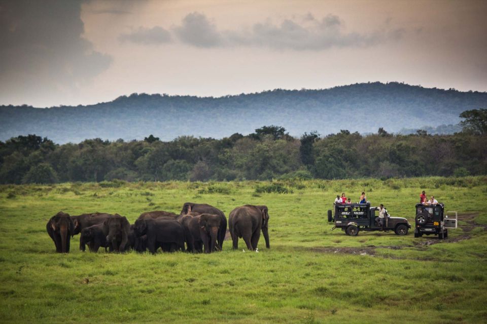 From Colombo: Udawalawa Safari & Elephant Transit Home Tour - Who this tour suits best (and who should think twice)
