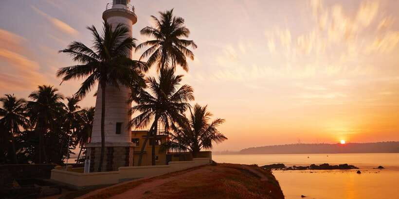 From Colombo: Virgin White Tea and Galle City Tour - Key highlights