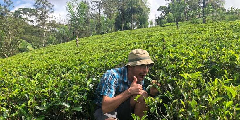 From Colombo: Virgin White Tea and Galle City Tour - What the factory visit feels like (and what you can do)