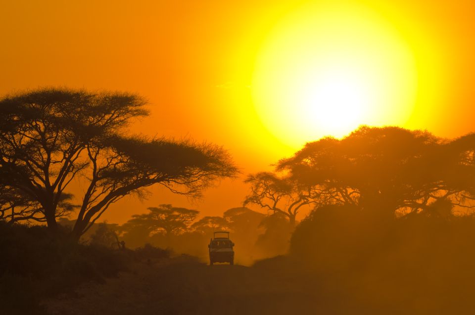 From Colombo: Yala National Park Safari with Transfer - Elephants, leopards, and the patience factor
