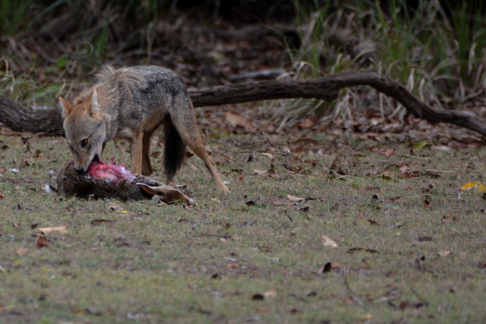 From Western Province: 2-Day Hill Country Highlights Trip - The $299 Price: What You’re Really Paying For