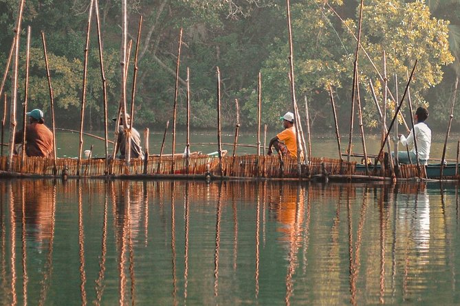 Galle, Bentota, Maadu River Curd at Sunset Day Trip from Colombo - Who should book this day trip