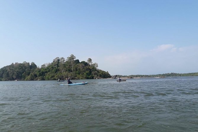 Galle Fort, Turtle, - Private Day Tour From Negombo or Colombo - A private route that makes Galle feel easy