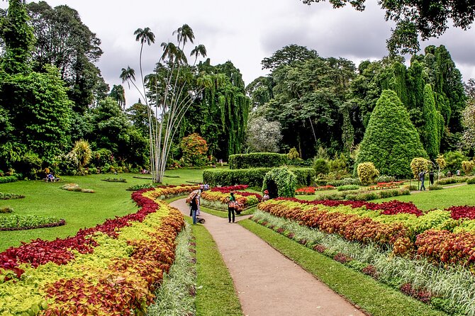Kandy City Tour from Colombo - Price and value: is $100 per person a fair deal
