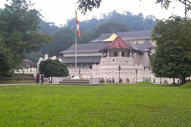 Kandy Day Tour From Colombo - Peradeniya Botanical Gardens: orchids, shade, and a needed breather