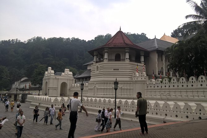 Kandy Day Tour From Colombo - Working with a driver and shaping the day to fit you