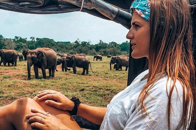 Kandy - Minneriya National park & Sigiriya Rock by tuk tuk tours - Dambulla Cave Temple: what to watch for on your climb