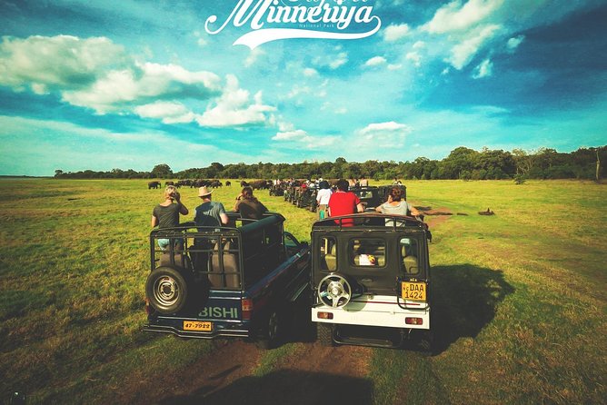 Kandy - Minneriya National park & Sigiriya Rock by tuk tuk tours - Minneriya jeep safari: elephants, birds, and the value of real search time