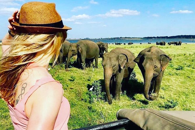 Kandy - Minneriya National park & Sigiriya Rock by tuk tuk tours - Price and entrance fees: when $41.67 actually becomes a deal