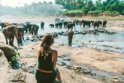 Kandy & Nuwara Eliya | 2 Days Tour - Price and value: what $170 for up to 4 really buys you