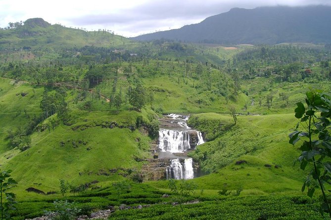 Kandy & Nuwara Eliya | 2 Days Tour - Evening Kandyan dance at Kandy Lake Club: fire and swords, no rushing