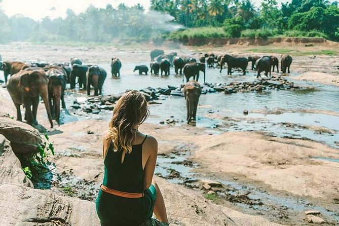 Kandy & Nuwara Eliya | 2 Days Tour - Price and value: what $170 for up to 4 really buys you