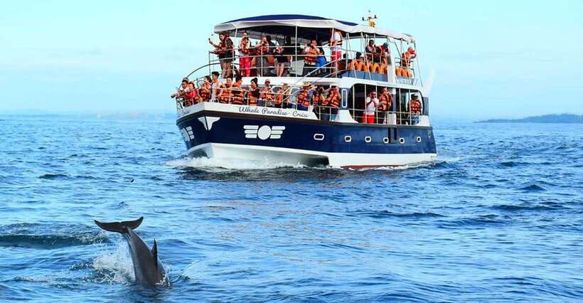 Mirissa Whale Watching, Tour A Once-in-a-Lifetime Experience - The 3.5 Hours at Sea: What Your Time Actually Looks Like