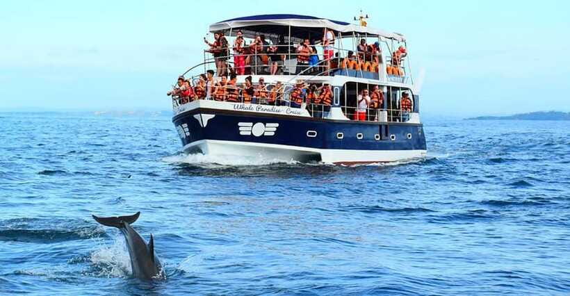 Mirissa Whale Watching, Tour A Once-in-a-Lifetime Experience - Logistics That Can Make or Break Your Day