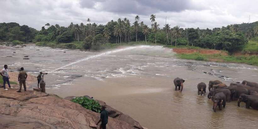 Negombo: Kandy and Pinnawala Elephant Orphanage Day Tour - Planning Your 14 Hours: pickup, private car comfort, and route reality