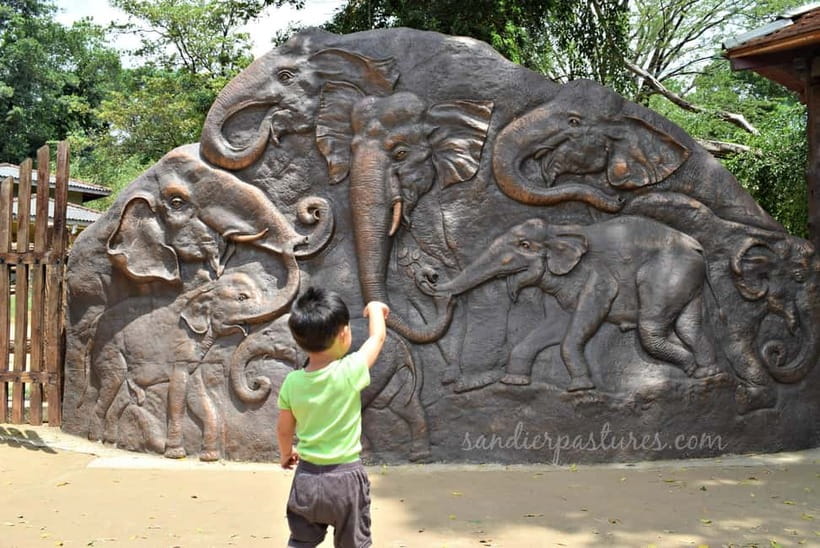 Negombo: Kandy and Pinnawala Elephant Orphanage Day Tour - Tea factory and the herbal garden walk: a break from driving with real local context