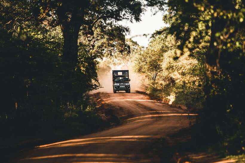Overnight Treehouse Safari at Yala National Park - Yala’s leopard country, with a treehouse night at Leopard Nest