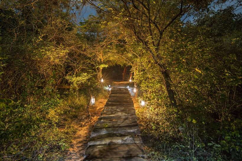 Overnight Treehouse Safari at Yala National Park - Campfire drinks, appetizers, and dinner under the stars