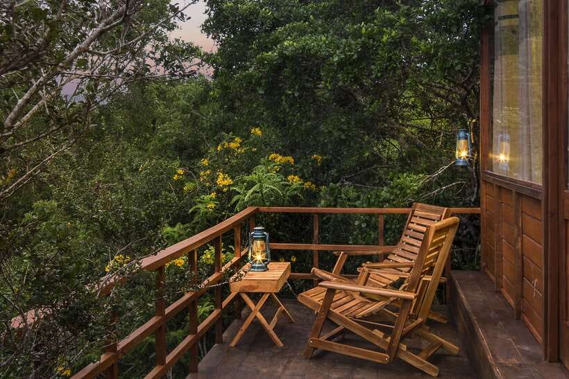 Overnight Treehouse Safari at Yala National Park - Getting comfortable: what to pack for Yala