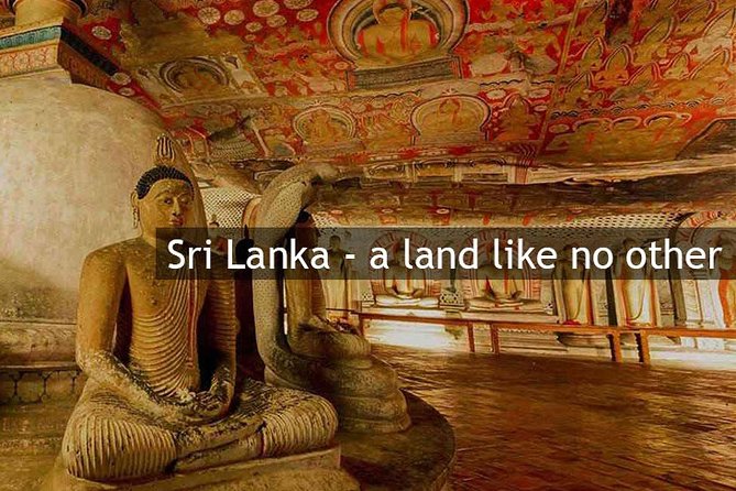 Personal Driver For Your Two Weeks Round Tour In Sri Lanka - Wildlife days that aren’t just a checkbox: Minneriya, Udawalawe, Kaudulla, and Wilpattu