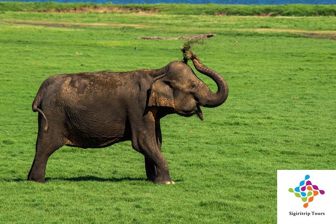Personal Driver For Your Two Weeks Round Tour In Sri Lanka - Ella’s icons: Nine Arches Bridge, Little Adam’s Peak, and Ella Rock