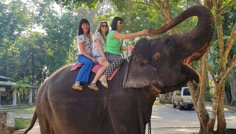 Pinnawala,Kandy Day Tour from Colombo/Negombo - Key highlights worth planning for