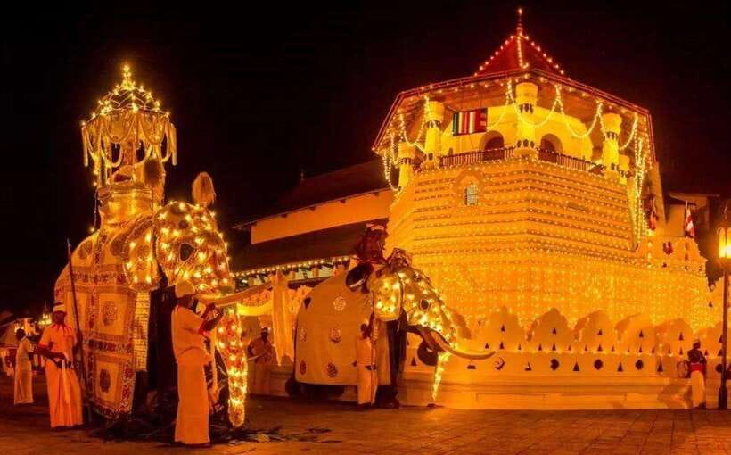 Pinnawala,Kandy Day Tour from Colombo/Negombo - Kandy and Pinnawala in one loop: why this day trip works