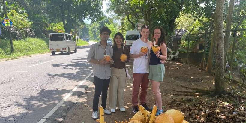 Pinnawala,Kandy Day Tour from Colombo/Negombo - Tea factory tour and tasting: how Ceylon tea actually becomes tea