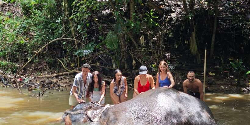 Pinnawala,Kandy Day Tour from Colombo/Negombo - Who should book this day tour (and who should skip it)