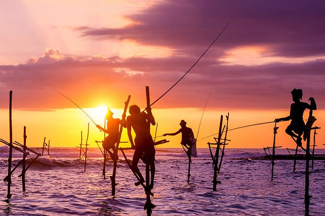 Private Day Trip to Yala National Park from Colombo - Price and value: what you’re really paying for