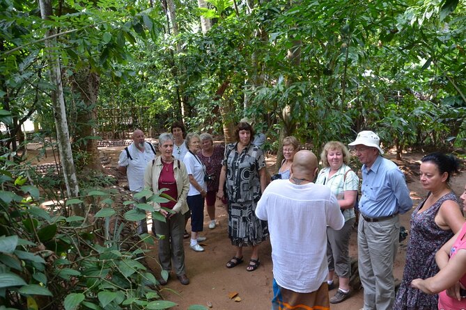 Private Galle Day Tour with Boat Safari & Tea Factory Visit - All Inclusive - Tea plantation and factory: what you actually learn from the tea stop