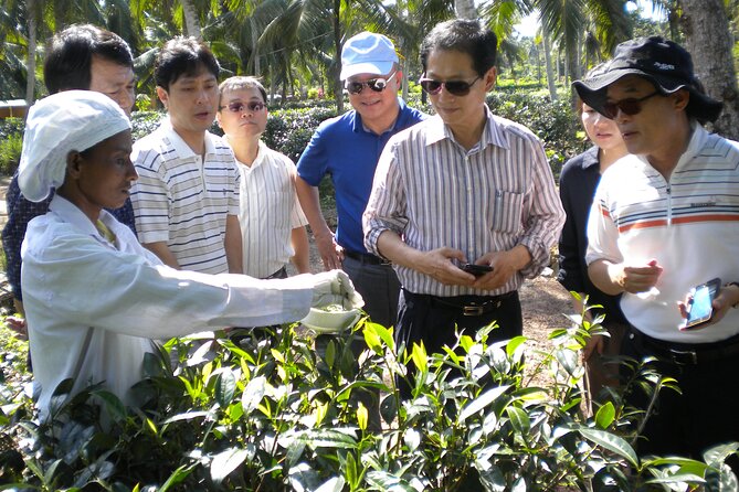 Private Galle Day Tour with Boat Safari & Tea Factory Visit - All Inclusive - Price and value: is $135 per person fair for an all-in private day?