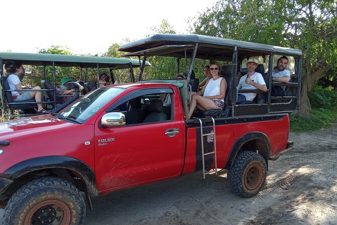 Private Wilpatu National Park Leopard safari from Colombo/Negambo - Wilpattu’s leopard odds, minus the Yala crowds