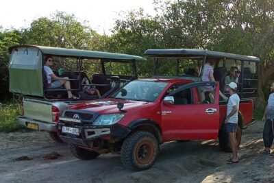 Private Wilpatu National Park Leopard safari from Colombo/Negambo - Your full day from Colombo/Negombo: pickup to return around 6pm