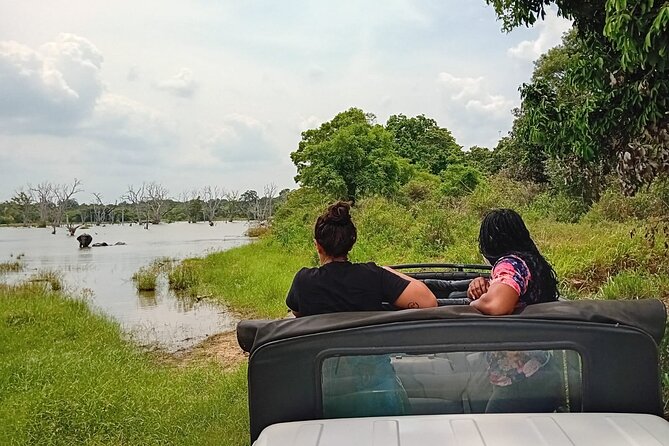 Private Wilpatu National Park Leopard safari from Colombo/Negambo - Tips to get the best chance of spotting leopards (and enjoying the wait)