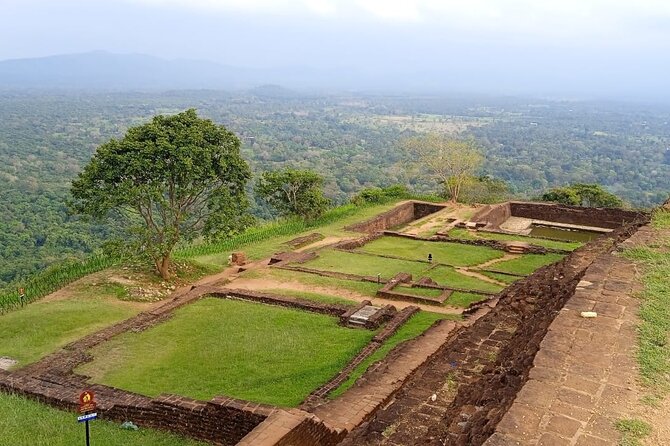 Safari Day Tour to Sigiriya Lion Rock and Golden Cave Temple - Dambulla Cave Temple: painted ceilings and 150+ Buddhas in one massive rock